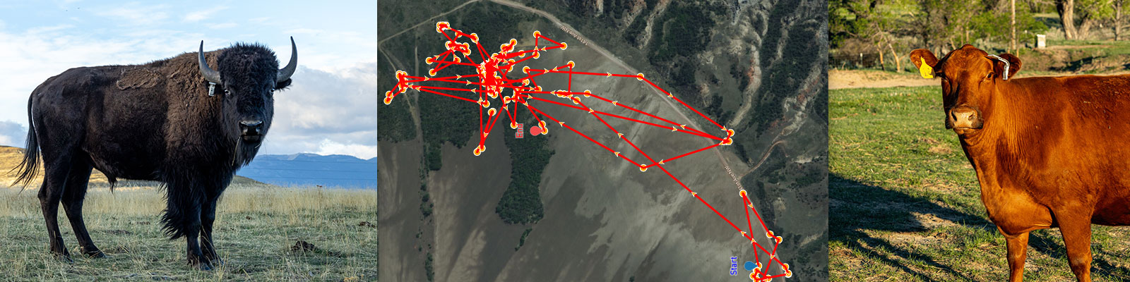 701X GPS tracking